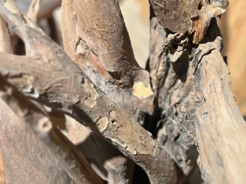 Une sculpture en bois flotté