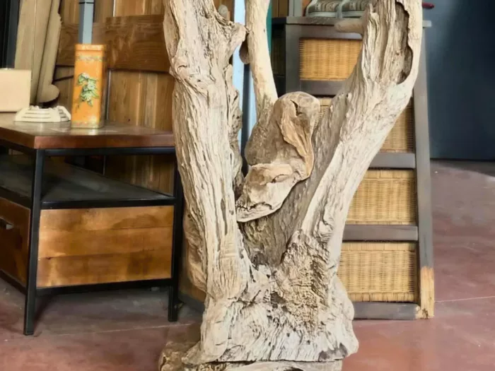 Les détails d'une sculpture en bois flotté